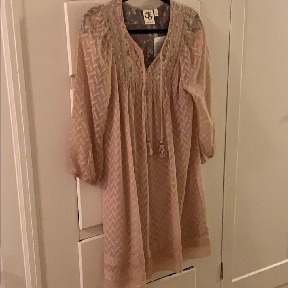 Blush beaded and embroidered dress